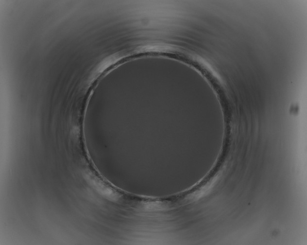 X0000092321025200709281402