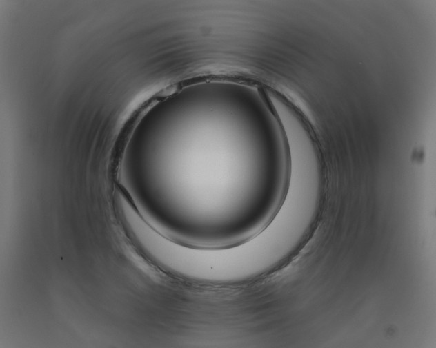 X0000092321026200709281402