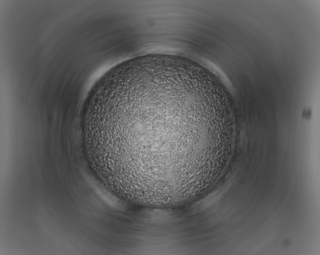 X0000092321027200709281402