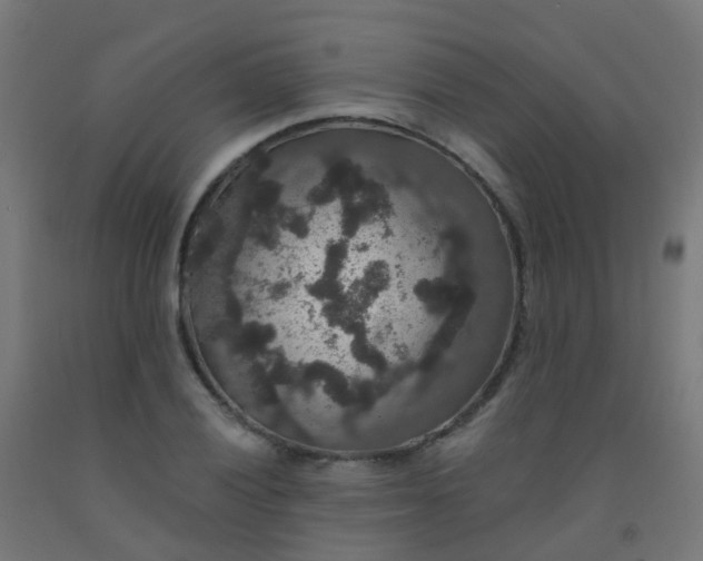 X0000092321028200709281402