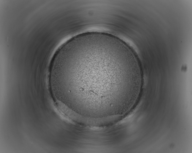 X0000092321029200709281402