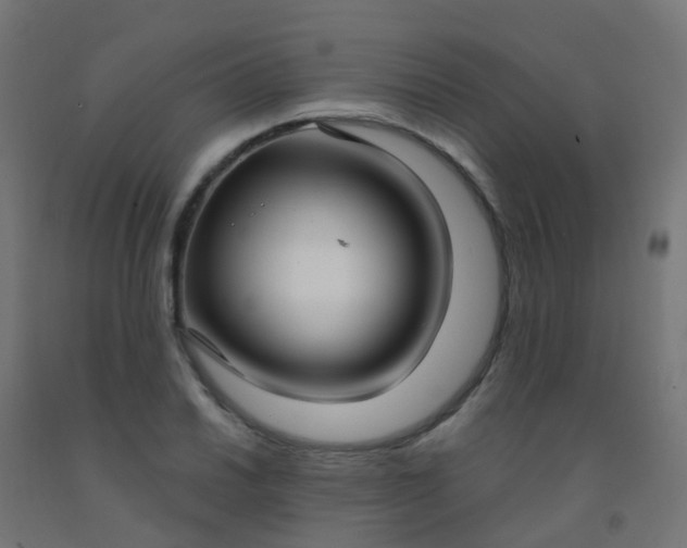X0000092321030200709281402