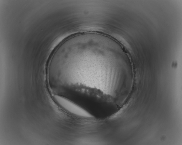 X0000092321031200709281402