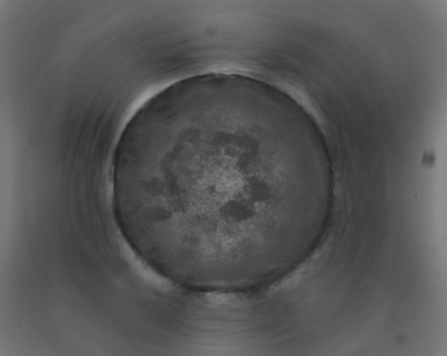 X0000092321032200709281402