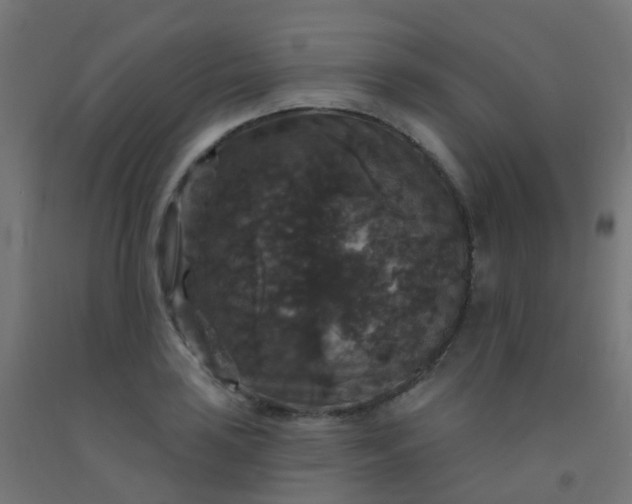 X0000092321035200709281402