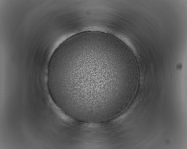 X0000092321040200709281402