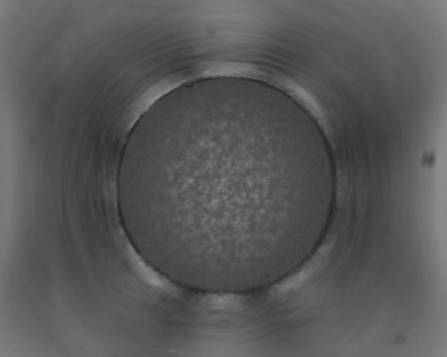 X0000092321041200709281402