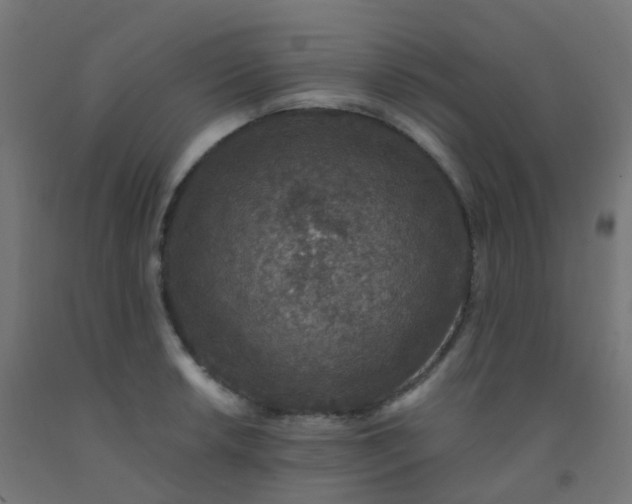 X0000092321042200709281402