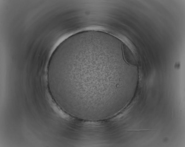X0000092321044200709281402