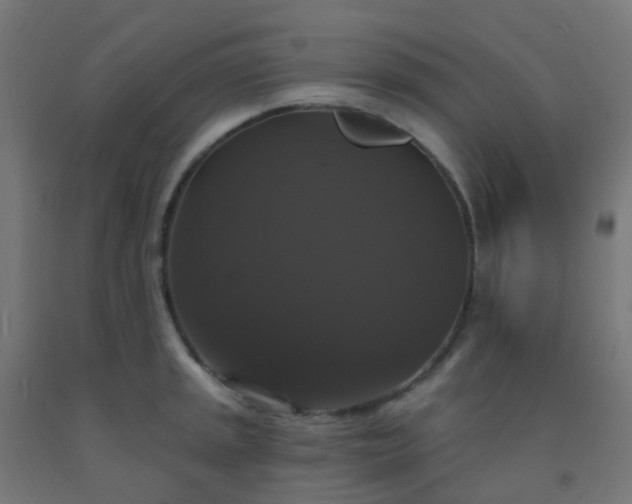 X0000092321045200709281402