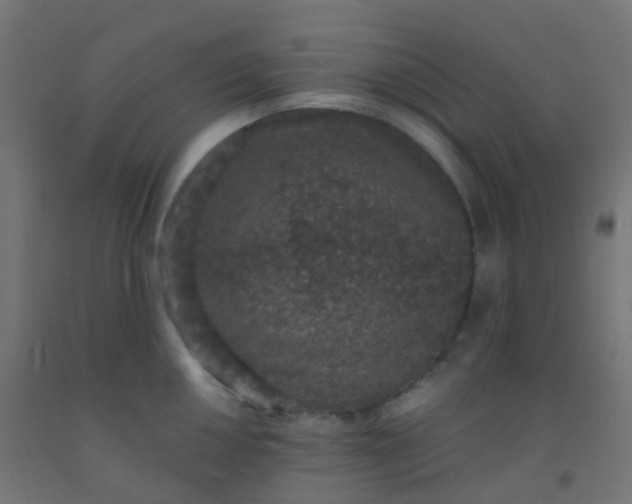 X0000092321050200709281402