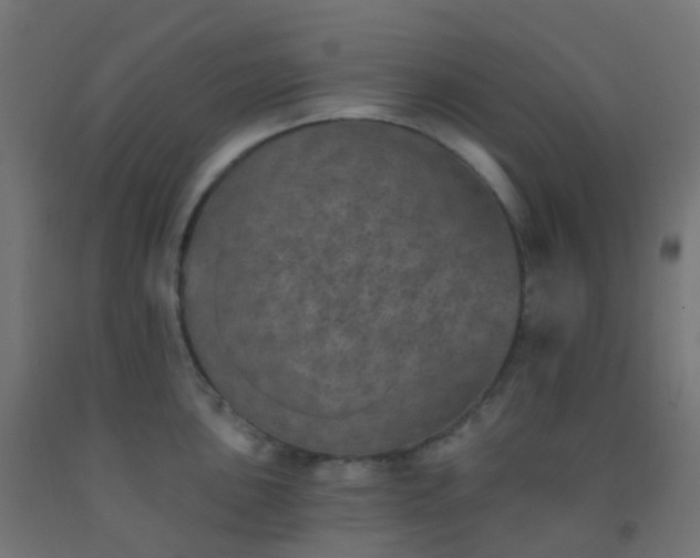 X0000092321051200709281402