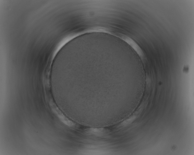 X0000092321052200709281402