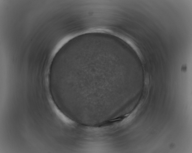 X0000092321054200709281402