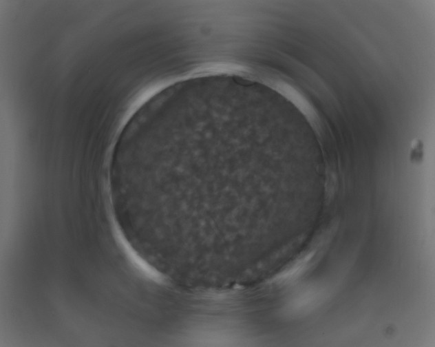 X0000092321055200709281402