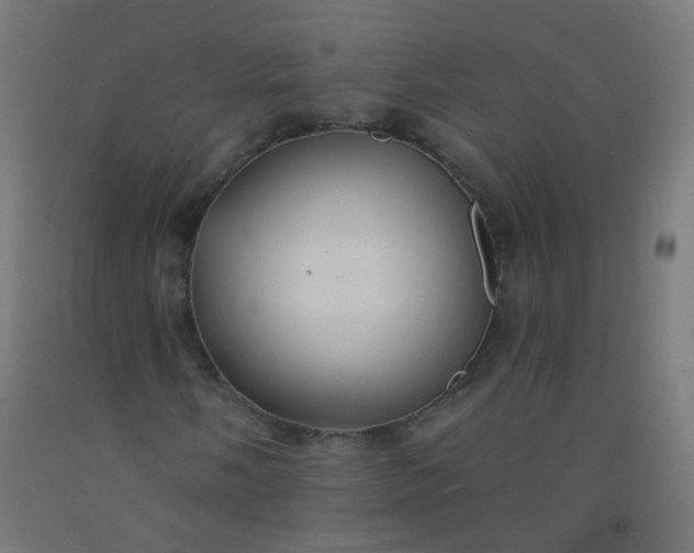 X0000092321058200709281402