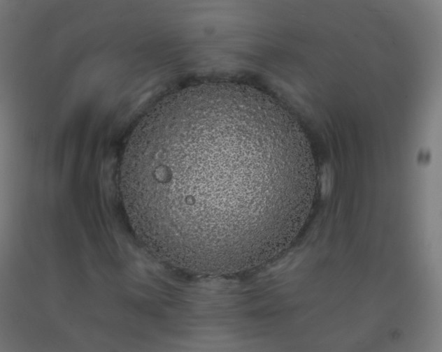 X0000092321059200709281402