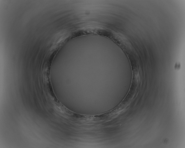 X0000092321060200709281402