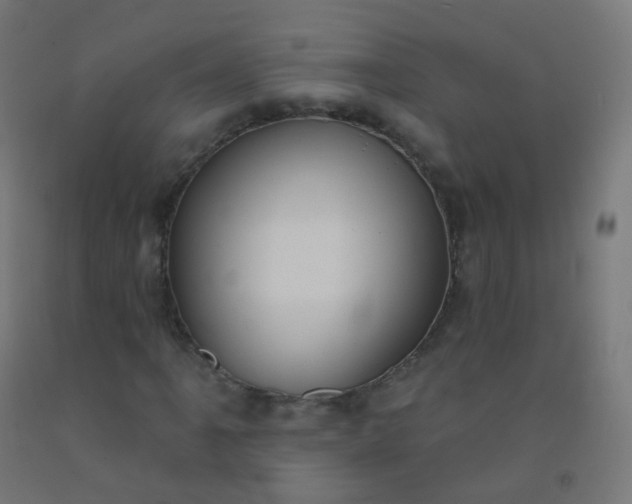 X0000092321061200709281402