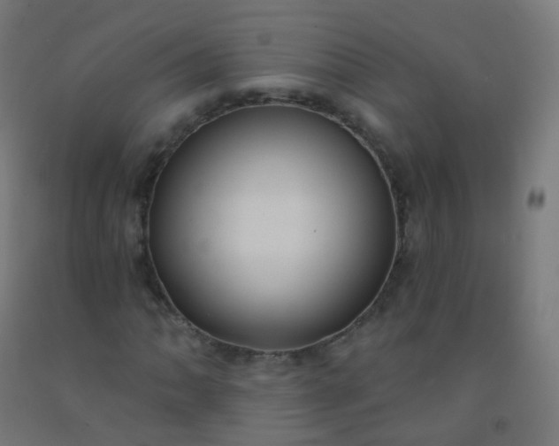 X0000092321062200709281402