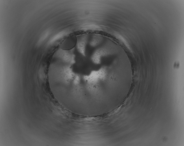 X0000092321063200709281402