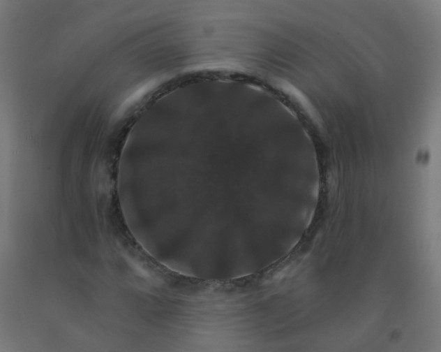 X0000092321064200709281402