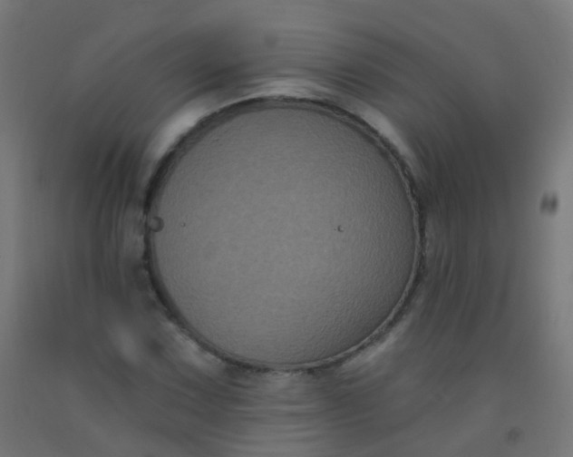 X0000092321067200709281402