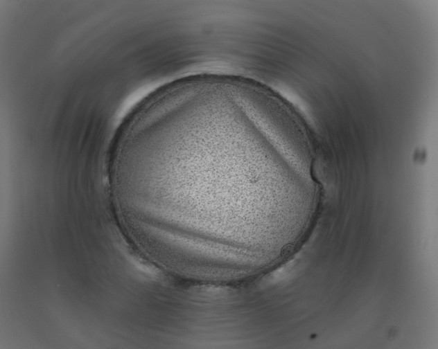 X0000092321070200709281402