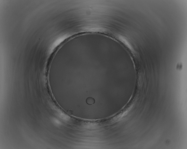 X0000092321071200709281402
