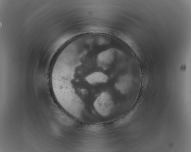 X0000092321074200709281401