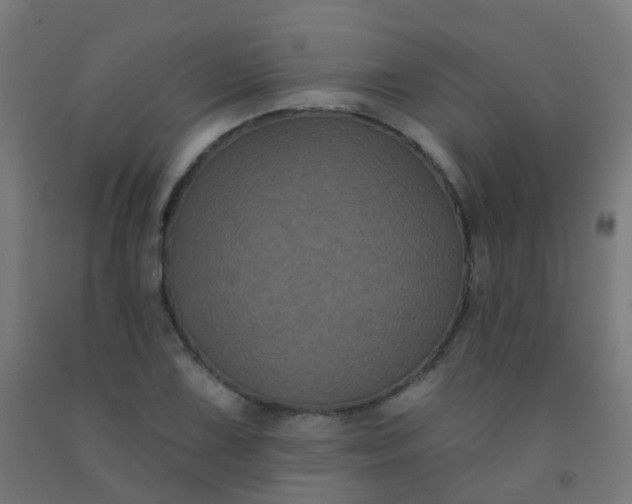 X0000092321075200709281401