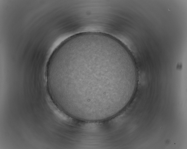 X0000092321078200709281401