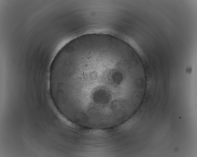 X0000092321079200709281401
