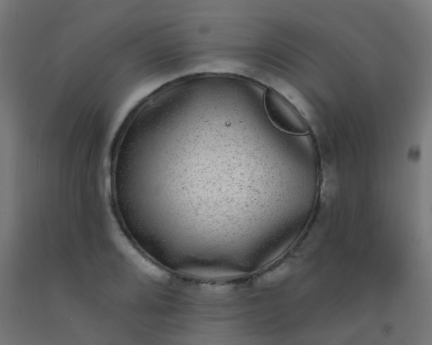 X0000092321080200709281401