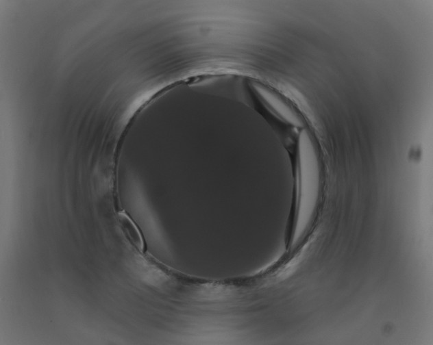 X0000092321081200709281401