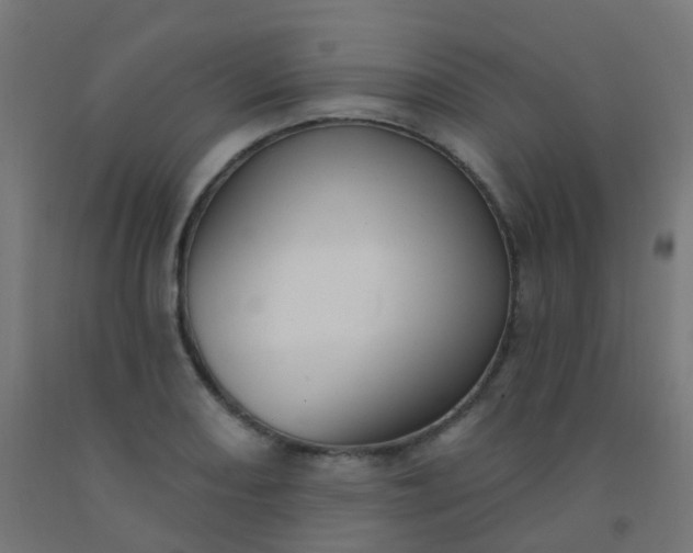 X0000092321082200709281401