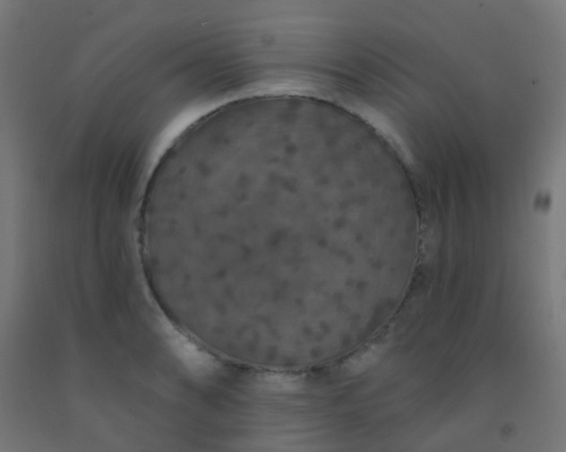 X0000092321086200709281401