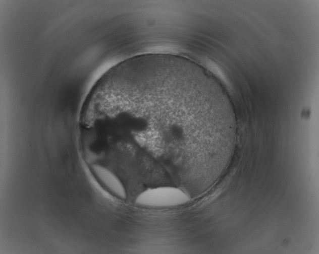 X0000092321087200709281401
