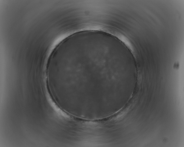 X0000092321088200709281401