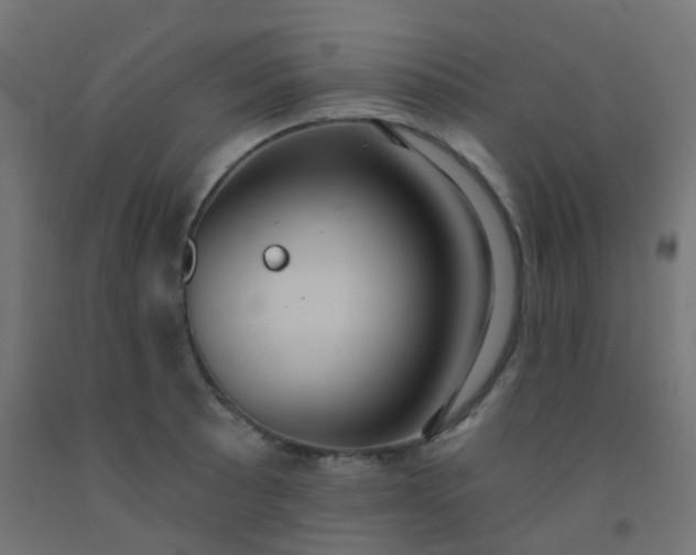 X0000092321089200709281401