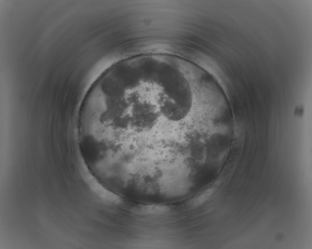 X0000092321090200709281401