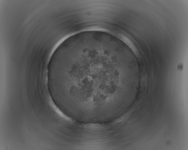 X0000092321092200709281401