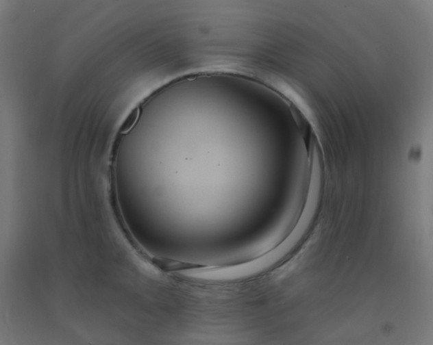 X0000092321093200709281401