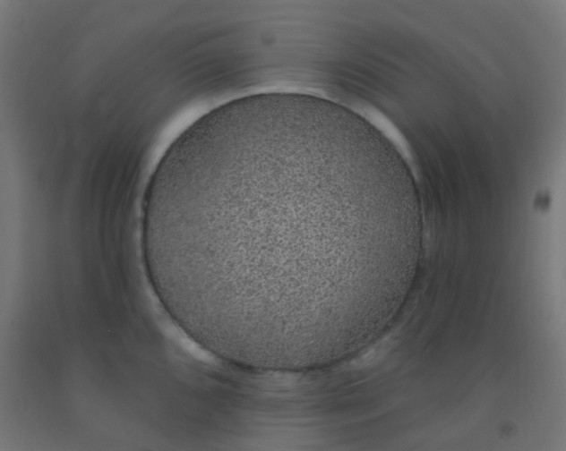 X0000092321096200709281401