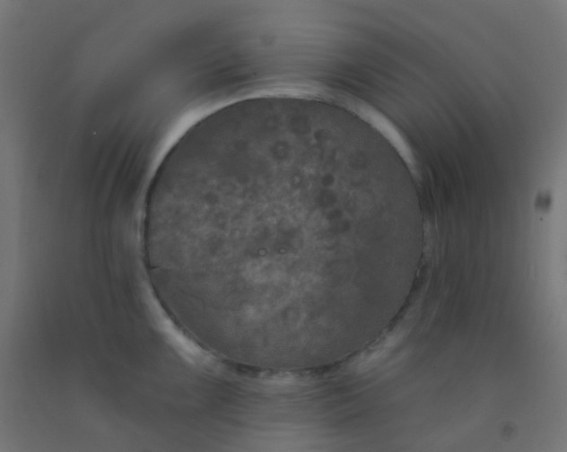 X0000092321099200709281401