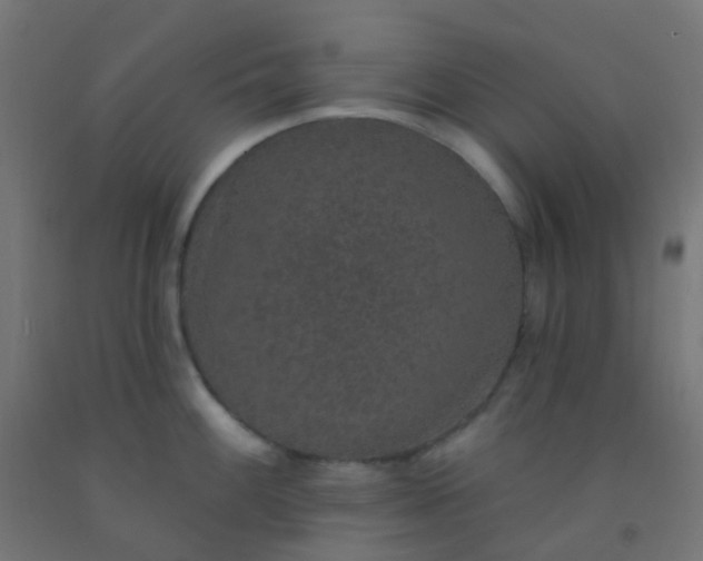 X0000092321100200709281401