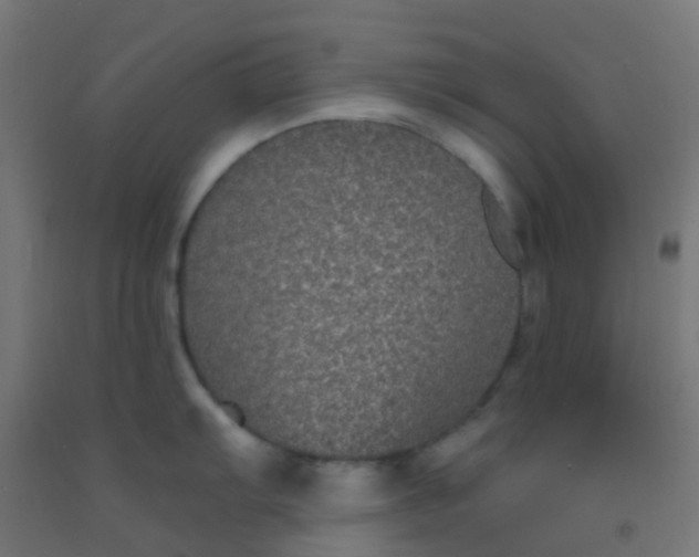 X0000092321103200709281401