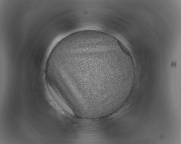 X0000092321104200709281401