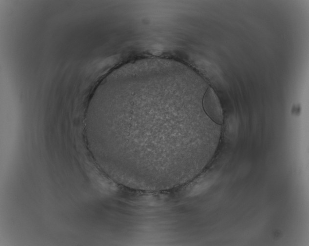 X0000092321105200709281401