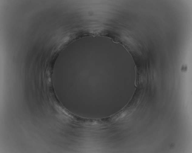 X0000092321106200709281401